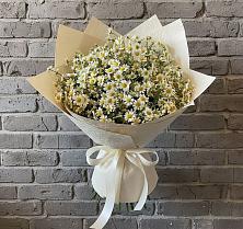 Букет цветов из:  Ромашки в Аллерое