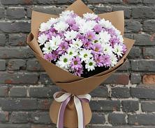 Букет цветов из:  Хризантемы #REPLACE_PRED# Аллерое