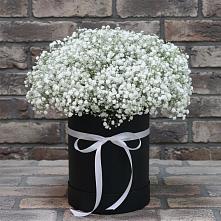 Цветочная композиция из Гипсофила в шляпной коробке в Аллерое