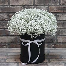 Цветочная композиция из Гипсофила в шляпной коробке в Аллерое
