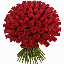 Букет Красные розы Чери Лав в Аллерое
