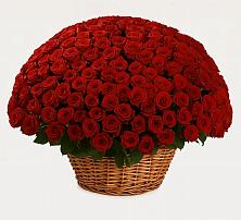 Премиум букет из: Розы в Аллерое